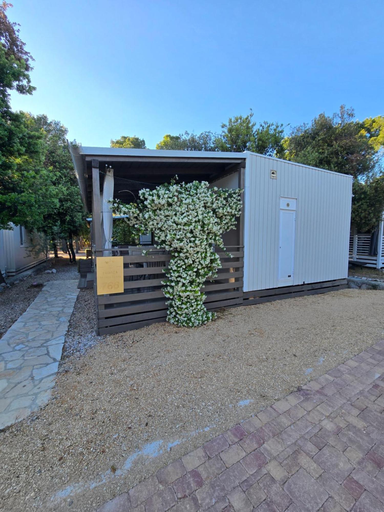 Holiday Homes Lavanda - 比奥格勒·纳·莫鲁 外观 照片
